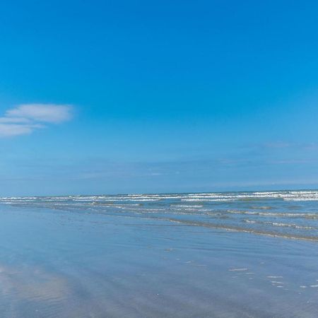 Dog-Friendly Stylish Super Cozy Home Fabulous Patio And Perfect Location Galveston Exteriör bild
